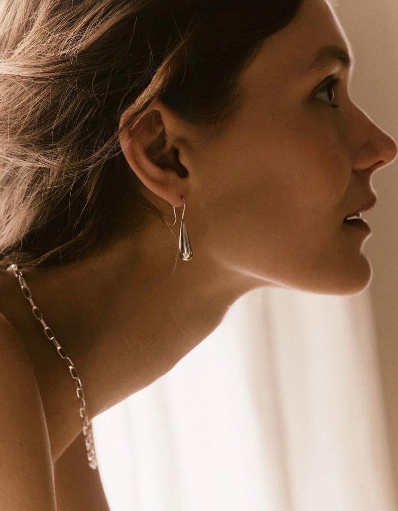 Vand Silver Hook Earrings