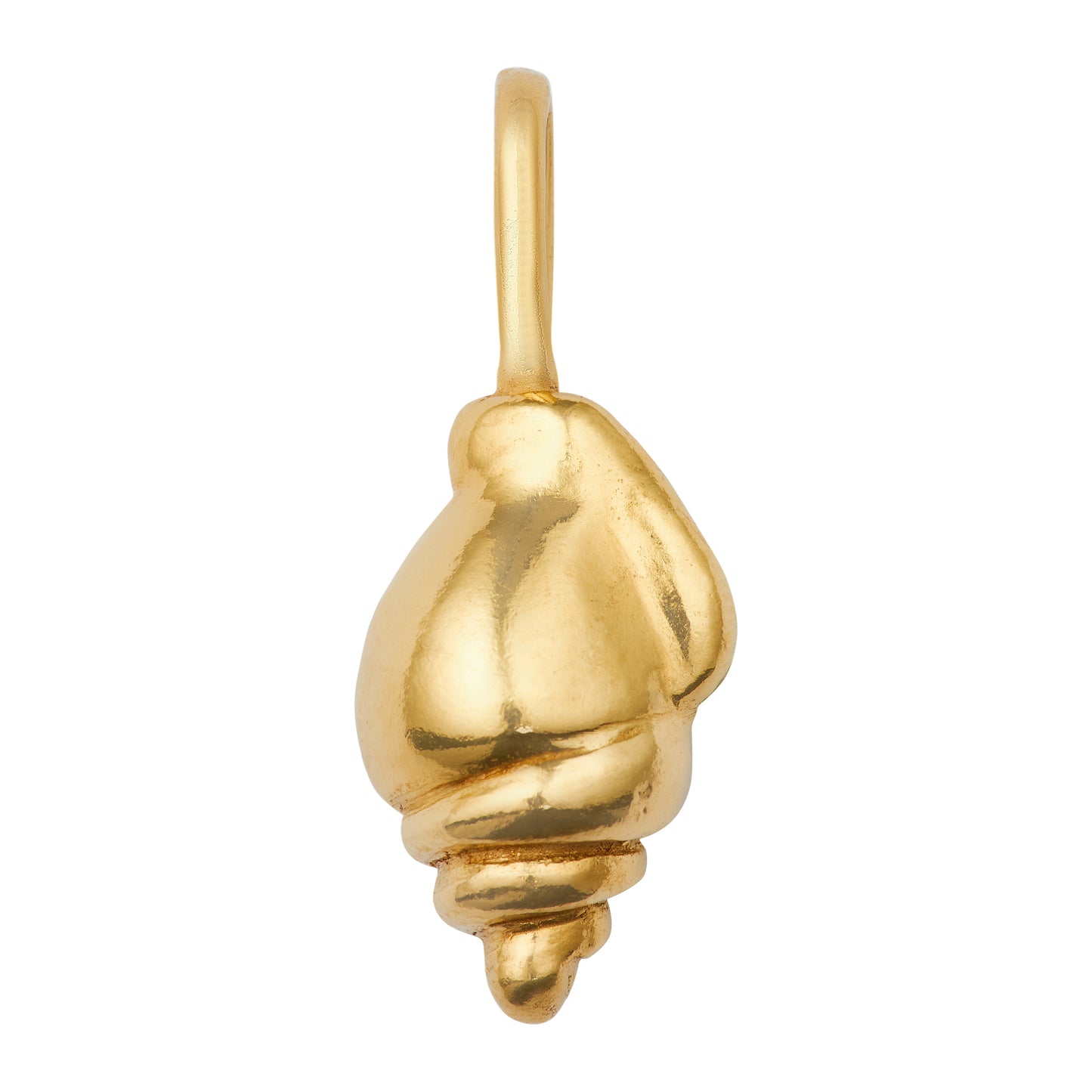 shell medallion