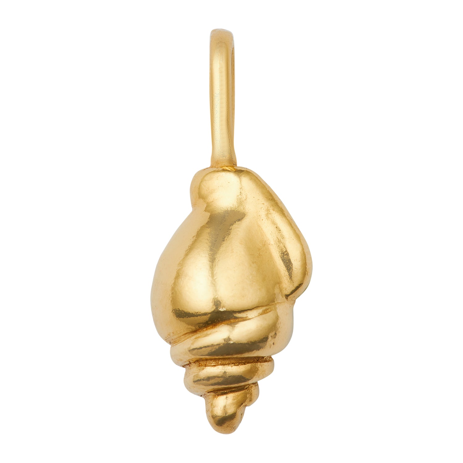 shell medallion