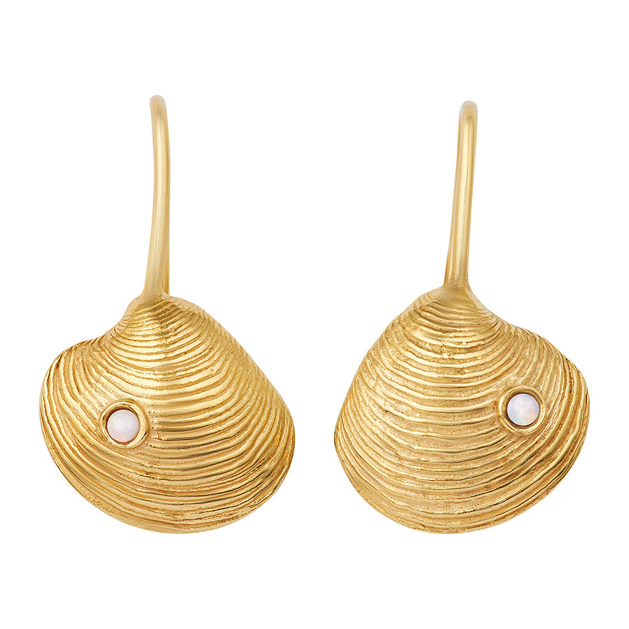 Vongole Hook Earrings