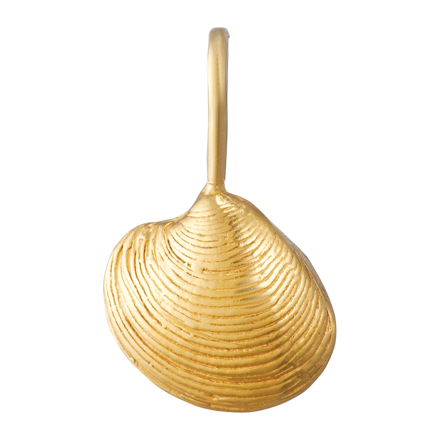 Vongole Medallion