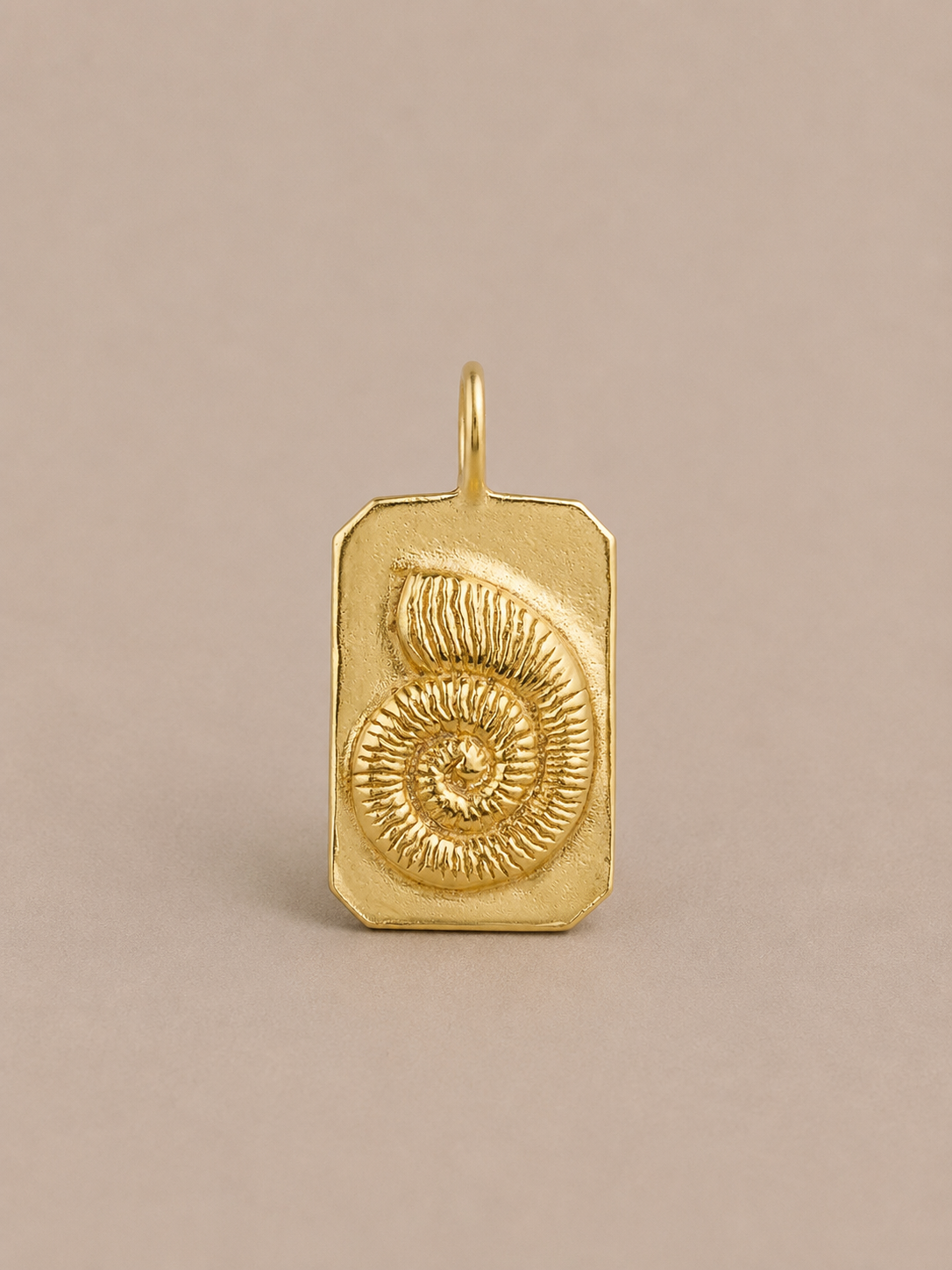 Amonit & Auger Double Side Medallion