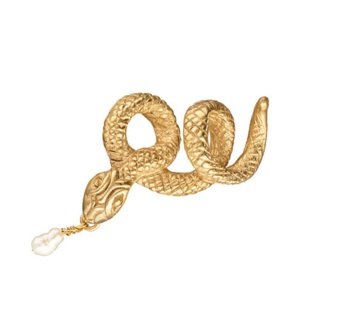 Serpentine Medallion