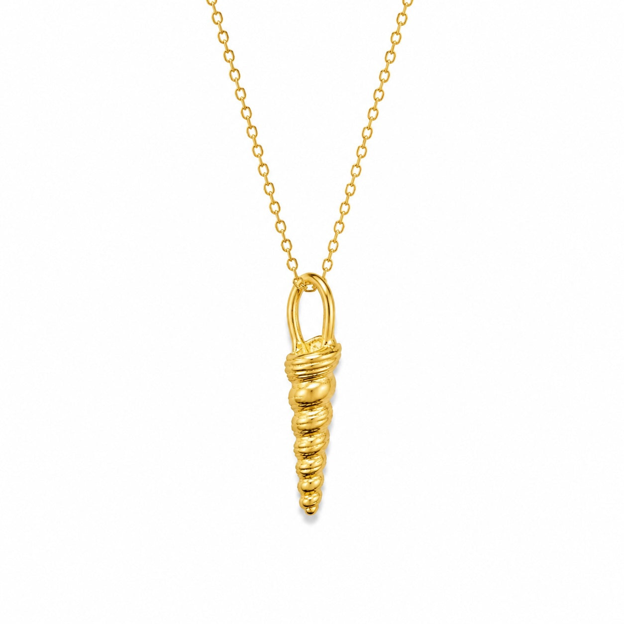Auger Shell Gold Necklace