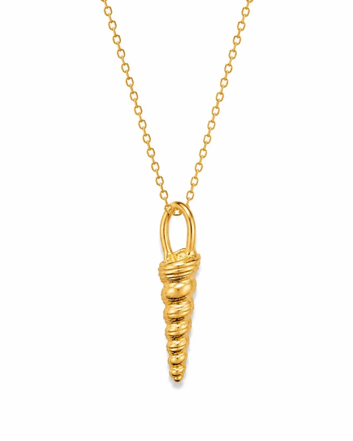 Auger Shell Gold Necklace