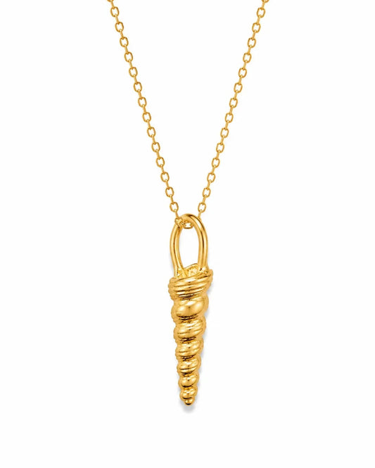 Auger Shell Gold Necklace